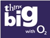 Think Big programme
